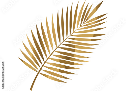 Golden Palm Leaf Vector Illustration isolated on transparent background