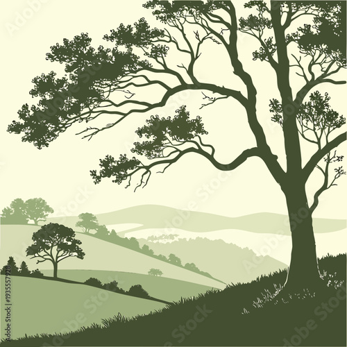Green hillside with large tree and rolling hills landscape