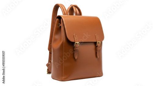 Tableau sur toile Isolated brown leather backpack with straps and clasps for storage and carrying