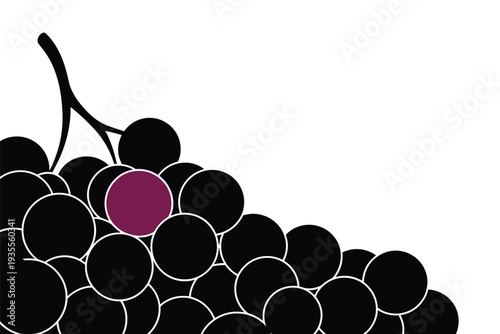 Vibrant purple grape standing out in a cluster of black grapes