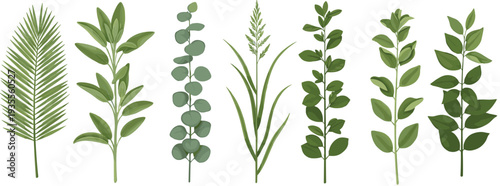 Green Botanical Leaves Collection with Tropical and Eucalyptus Foliage Branches Natural Plant Vector Illustration Set