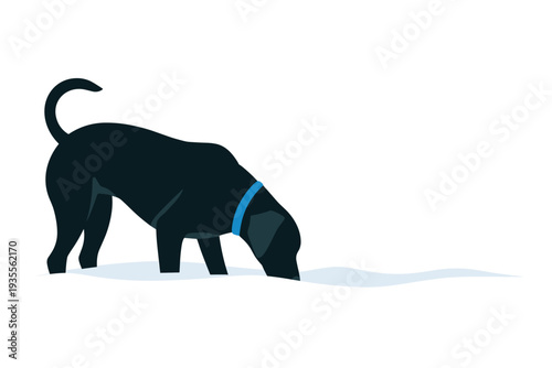 Black dog with blue collar sniffing the ground
