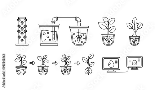 A vector graphic illustrating the process of plant growth and hydroponic cultivation with a computer monitoring system