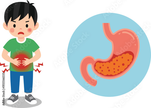 Boy Having Stomach Ache and Abdominal Pain with Human Digestive System Anatomy Gastritis Indigestion and Stomach Inflammation Health Vector Illustration
