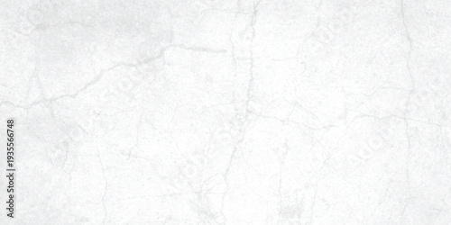 Abstract White Grunge Concrete Wall Texture; Distressed Rusty Crack and Scratch Vector Background, Vintage Dusty Rough Stone Surface, Minimalist White Stucco Flat Lay Table Top Design