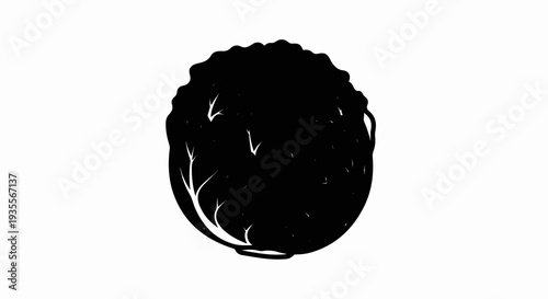 Black and white illustration of a leafy green vegetable