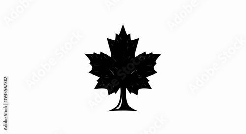 Stylized black maple leaf silhouette with textured details on white background