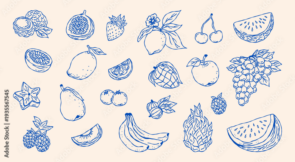 Fototapeta premium Sketch hand drawn fruits vector illustration. Natural tropical fruits. Dragon fruit, pineapple, citrus, banana, fig, apple, grape, lemon, strawberry, watermelon, gooseberry, melon,tangerine.
