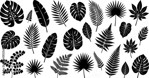 Leaf silhouette icon set vector illustration featuring diverse tropical and temperate foliage designs including palm, fern, and monstera motifs