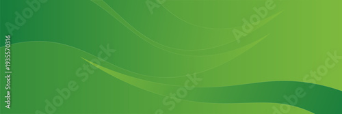 Abstract green curve background. Can be used covers, banners, wallpapers, flyers, brochures, books, print media, cards, web backgrounds. vector