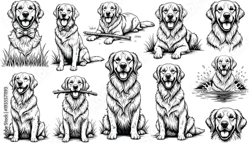 Black and white sketch illustrations of a Golden Retriever dog, capturing various playful and loyal moments