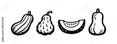 Hand Drawn Doodle Style Vegetables Set - Zucchini, Gourds, Butternut Squash, and Melon Slice Line Art Icons