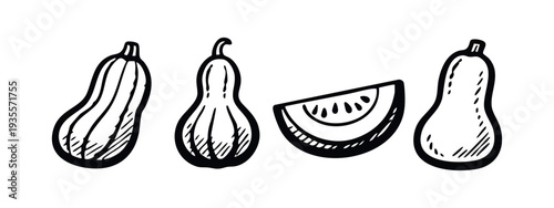 Doodle Style Vegetable and Fruit Slice Outline - Zucchini, Squashes, and Melon Graphic Element Set
