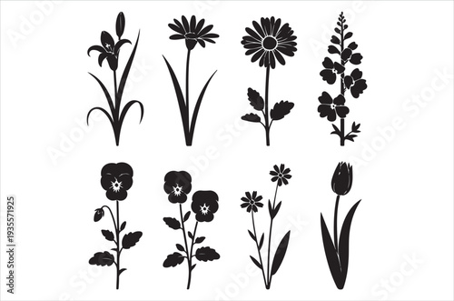 Black and white floral illustration featuring various flower silhouettes
