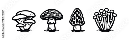 Hand-drawn diverse mushroom species icons set. Black and white stylized fungi illustrations.