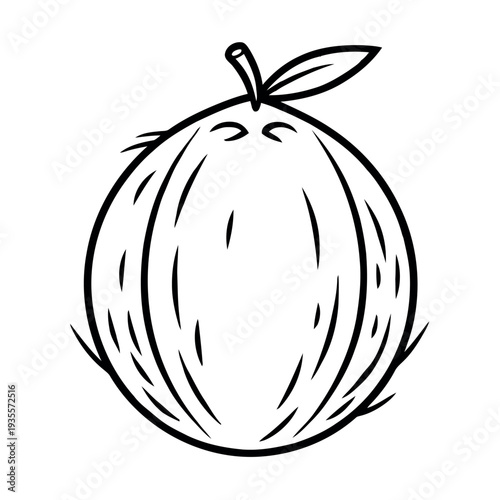 Line Art Illustration of a Whole Coconut with Stem and Leaf