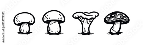 Hand-drawn mushroom varieties icons set. Black and white stylized fungi illustrations for foraging and cooking.