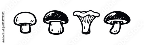 Hand drawn mushroom set. Black and white sketch illustration of various edible fungi.