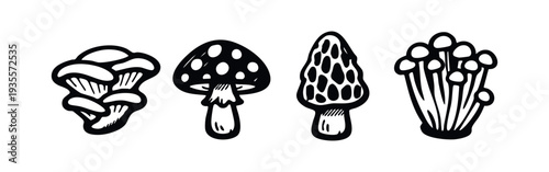 Variety of hand drawn mushrooms. Black and white sketch icons of wild and cultivated fungi.