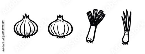 Fresh allium vegetables. Hand drawn black and white sketch of onions, leek, and spring onion.