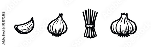 Sketch drawing of allium ingredients. Hand drawn garlic, onion, and chives on white background.