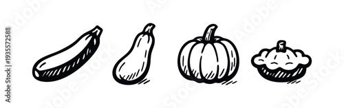Hand drawn set of zucchini, pumpkin, and pattypan squash vegetables.