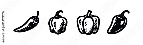 Outline style hand-drawn icons of various fresh peppers including chili peppers and bell peppers.