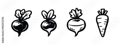 Hand-drawn set of fresh root vegetable icons: three radishes and a carrot, ideal for food and health designs.