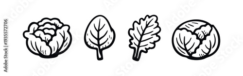 Hand drawn line art icons of various leafy greens and cabbages on a white background.
