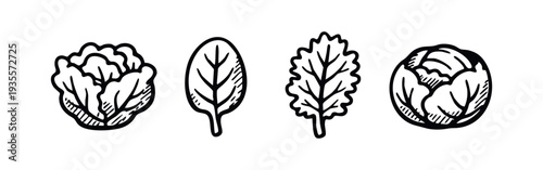 Hand drawn line art icons of various leafy greens and cabbages on a white background.