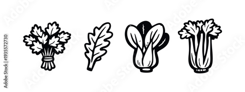 Hand drawn line art icons of fresh herbs and vegetables including parsley, arugula, bok choy, and celery.