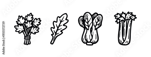 Hand drawn line art icons of fresh herbs and vegetables including parsley, arugula, bok choy, and celery.