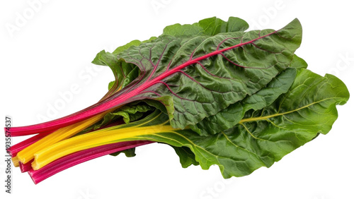 Fotografie Isolated fresh rainbow chard, vibrant leafy greens with colorful stems, food ing