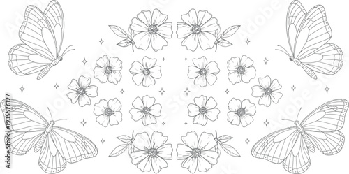 Butterfly illustrations in symmetrical pattern