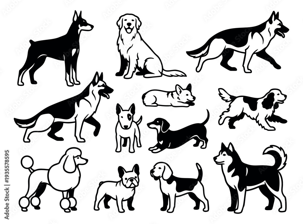 Fototapeta premium Line art dog breeds set featuring various popular dogs for animal themed designs