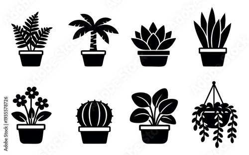 Modern icon houseplant set featuring various popular indoor plants including a fern, cactus, and succulent for home decor and gardening concepts