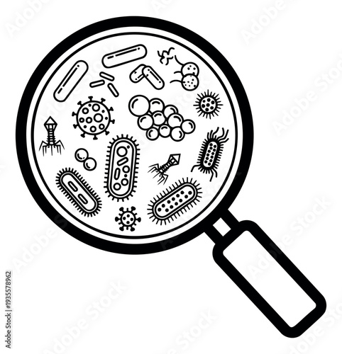 Line art illustration of microscopic organisms depicting various bacteria and viruses magnified through a lens for science and health