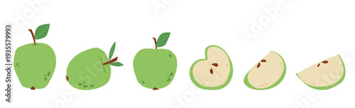 Green apple fruit vector set isolated on white background. Cut half and slices apple. Raw fresh fruits. Flat hand drawn style illustration