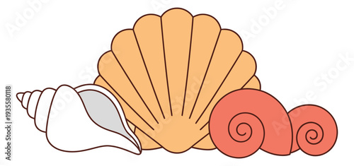 Line art seashells set featuring a scallop, conch, and spiral shell for beach and summer themes
