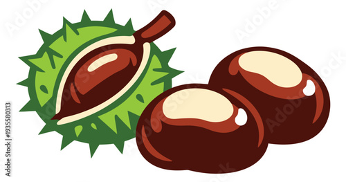 Stylized vector chestnut set featuring a spiky green outer shell and two smooth nuts for seasonal decoration