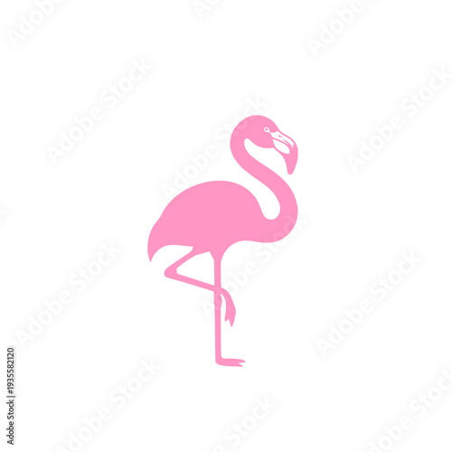 Pink flamingo vector illustration. Abstract bird 