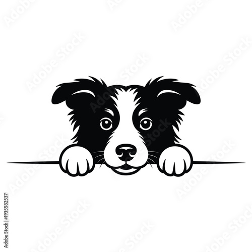 A charming border collie playfully peeks over a line looking forward