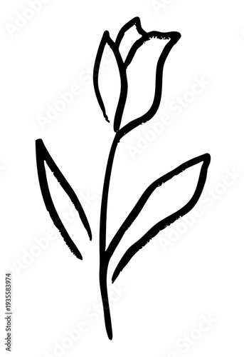 手描きチューリップの線画ベクターイラスト　シンプル植物ラインアート