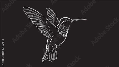 Minimalist white hummingbird lineart illustration on dark background with delicate contour and movement.