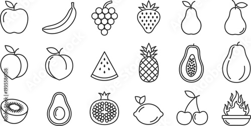 A collection of 16 hand drawn fruit illustrations