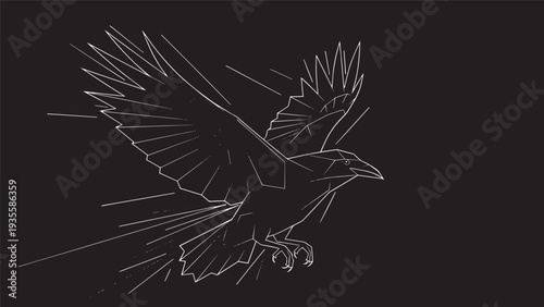 Minimalist line art of a soaring bird captured in white on a dark background with elegant wings.