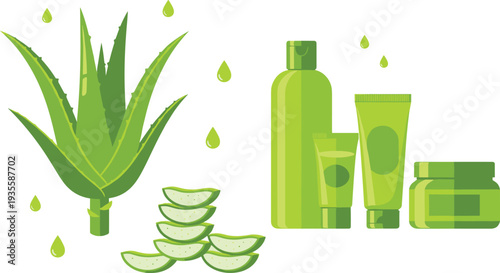 Set of organic aloe vera skincare products including bottles, tubes, creams, fresh aloe plant, and slices, natural beauty vector illustration.