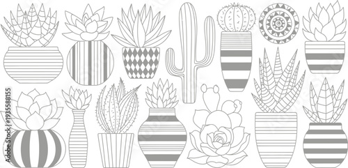 Black and white illustration of various cacti and succulents in pots