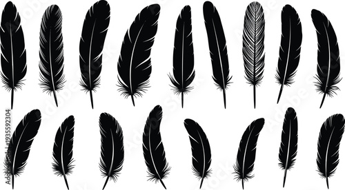 Set of black bird feather silhouettes with different shapes and textures isolated on white background for boho design and decorative patterns