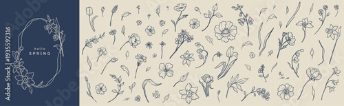 Collection of small hand drawn whimsical spring flowers, leaves and twigs. Trendy 
style illustrations. Vector elements for invitation, greeting card, poster, blog or web design, pattern, logo, print